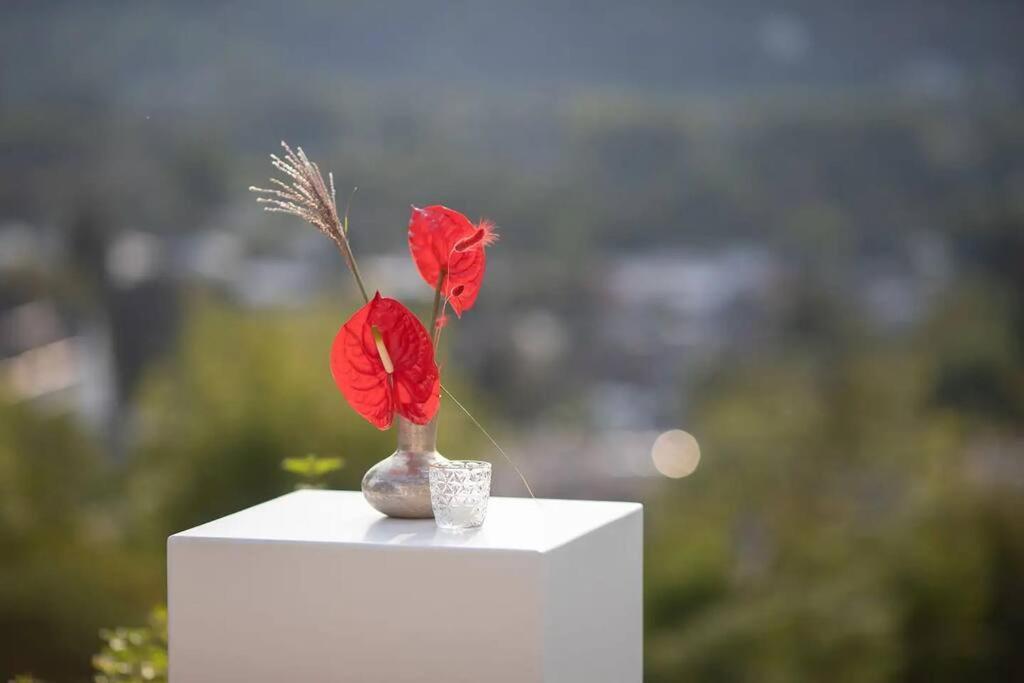 Villa Heckenfels Bad Honnef Екстериор снимка